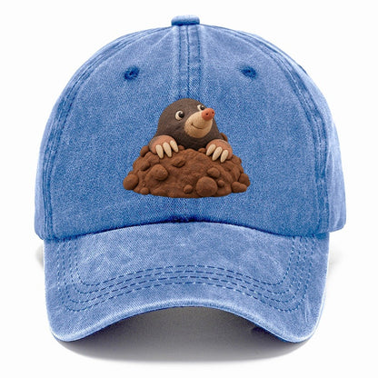 Mole Hill Peek Classic Cap – Summer Sky