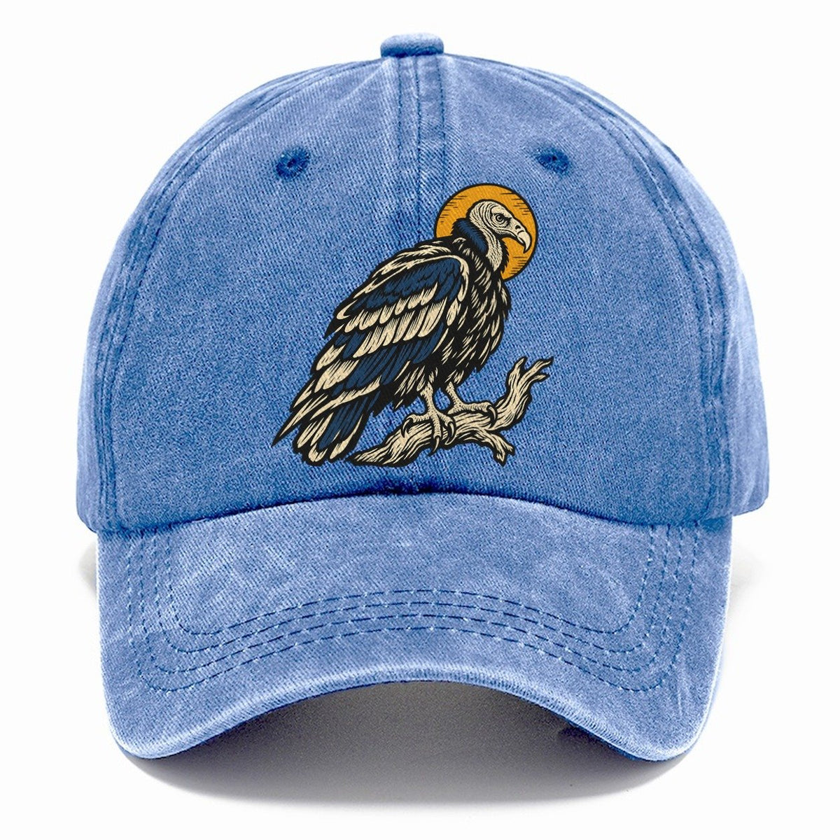 Vulture Solar Disc Sundown Familiars Classic Cap – Summer Sky