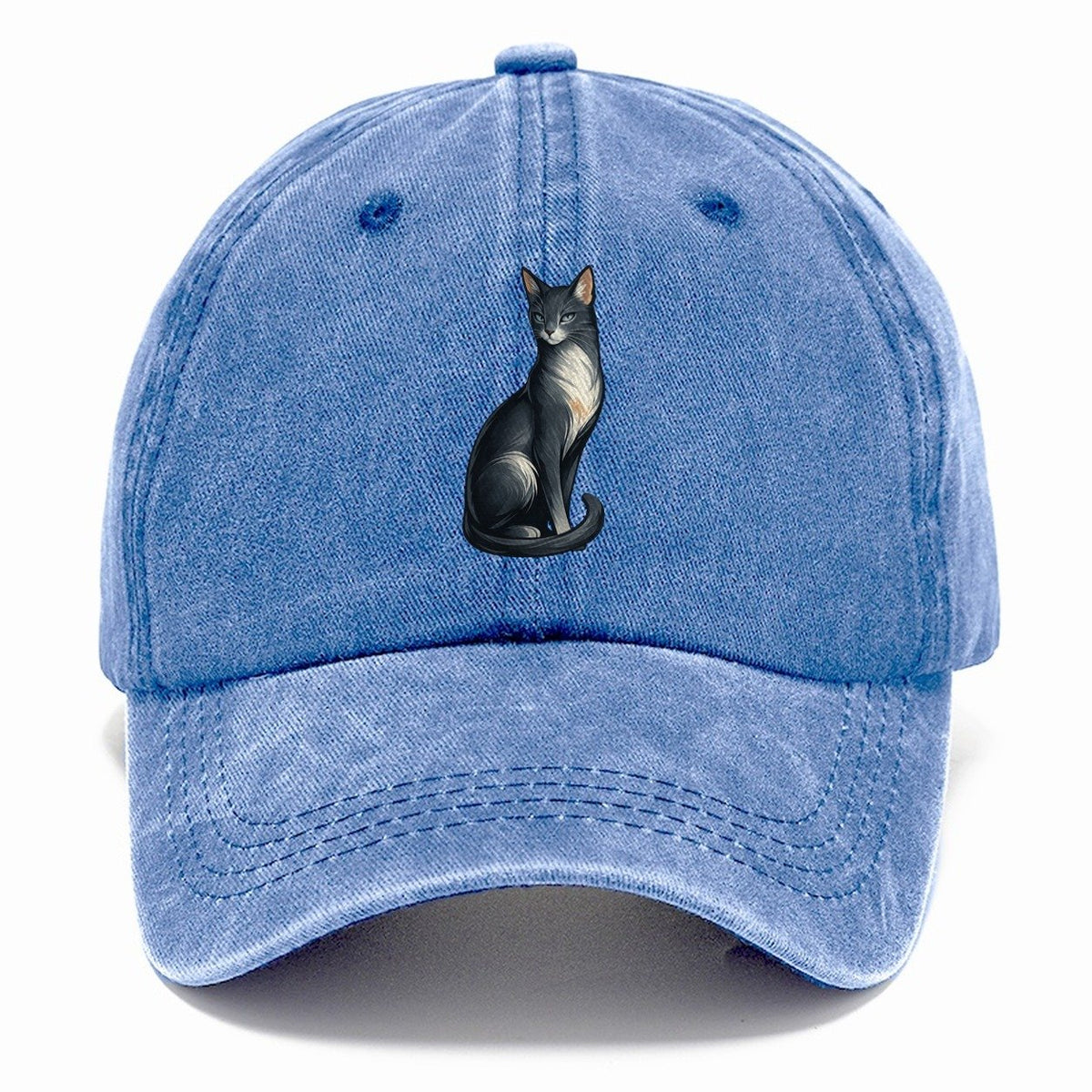 Blue-Eyed Gray Cat Classic Cap – Summer Sky