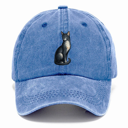Blue-Eyed Gray Cat Classic Cap – Summer Sky