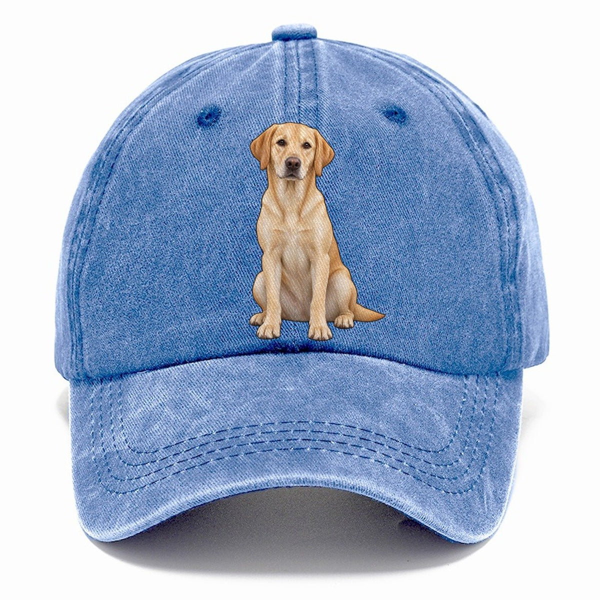 American Yellow Labrador Classic Cap – Summer Sky