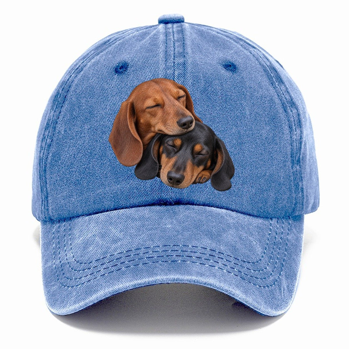 Dachshund Sleeping Pair Character Club Classic Cap – Summer Sky