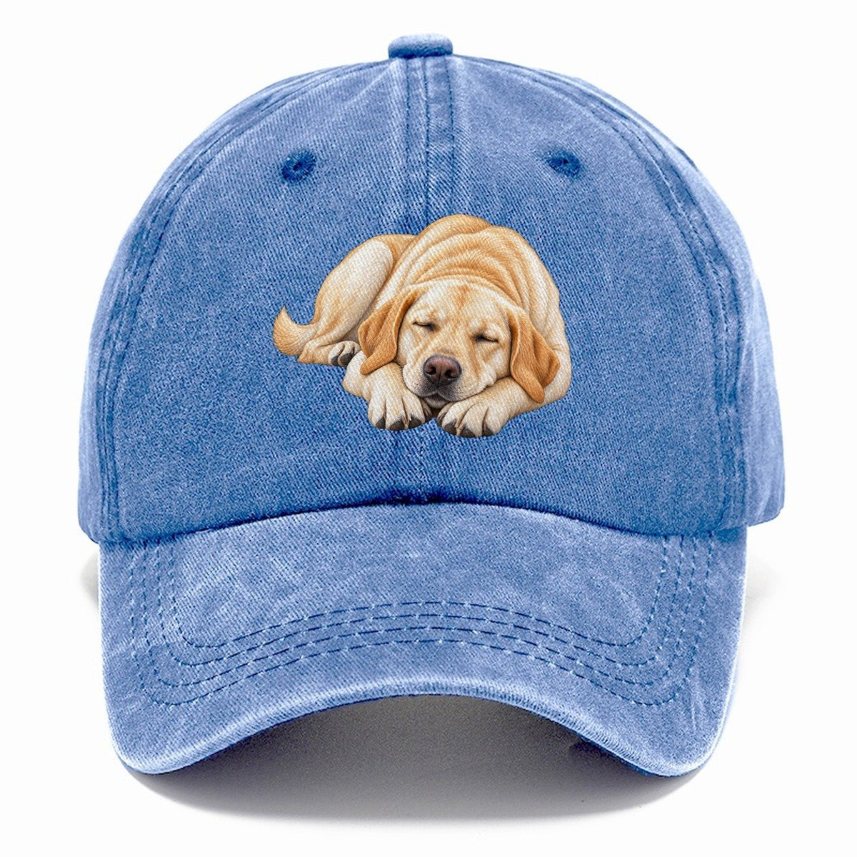 Abstract Labrador Play Bow Classic Cap – Summer Sky