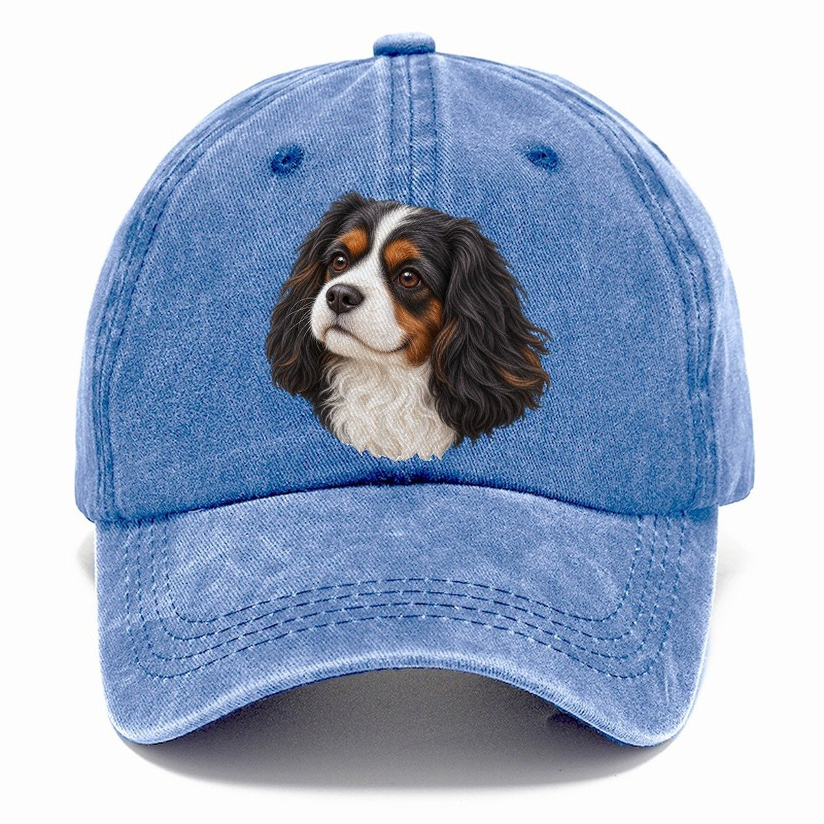 Cavalier Tricolour Smile Pastimes Companions Classic Cap – Summer Sky
