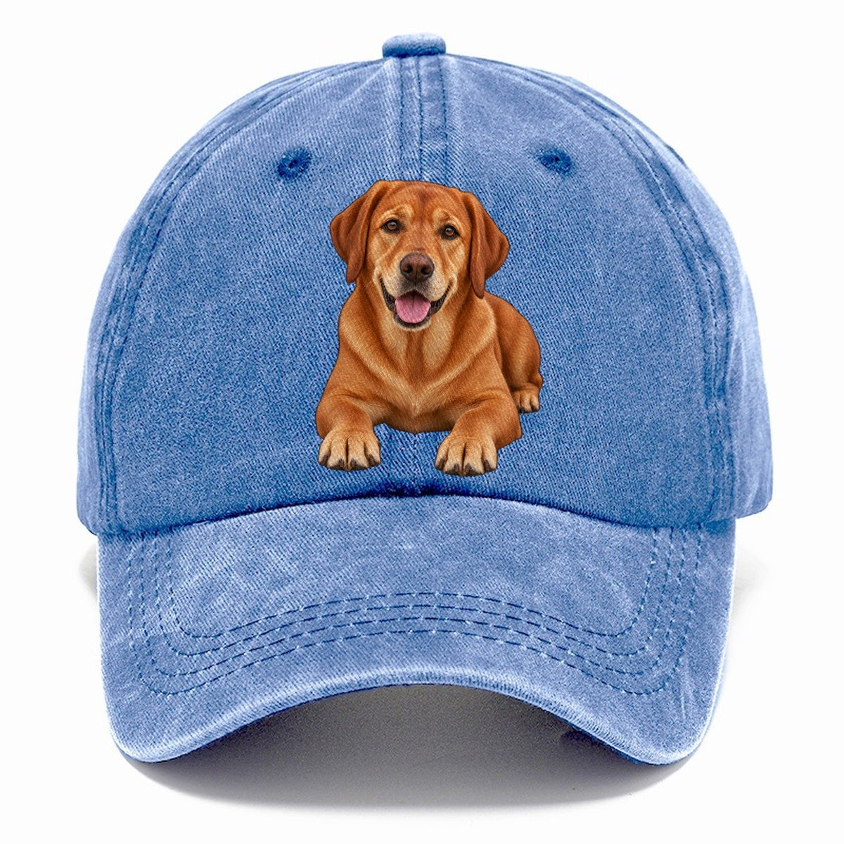 Fox Red Labrador Classic Cap – Summer Sky