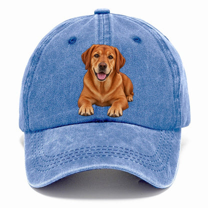 Fox Red Labrador Classic Cap – Summer Sky