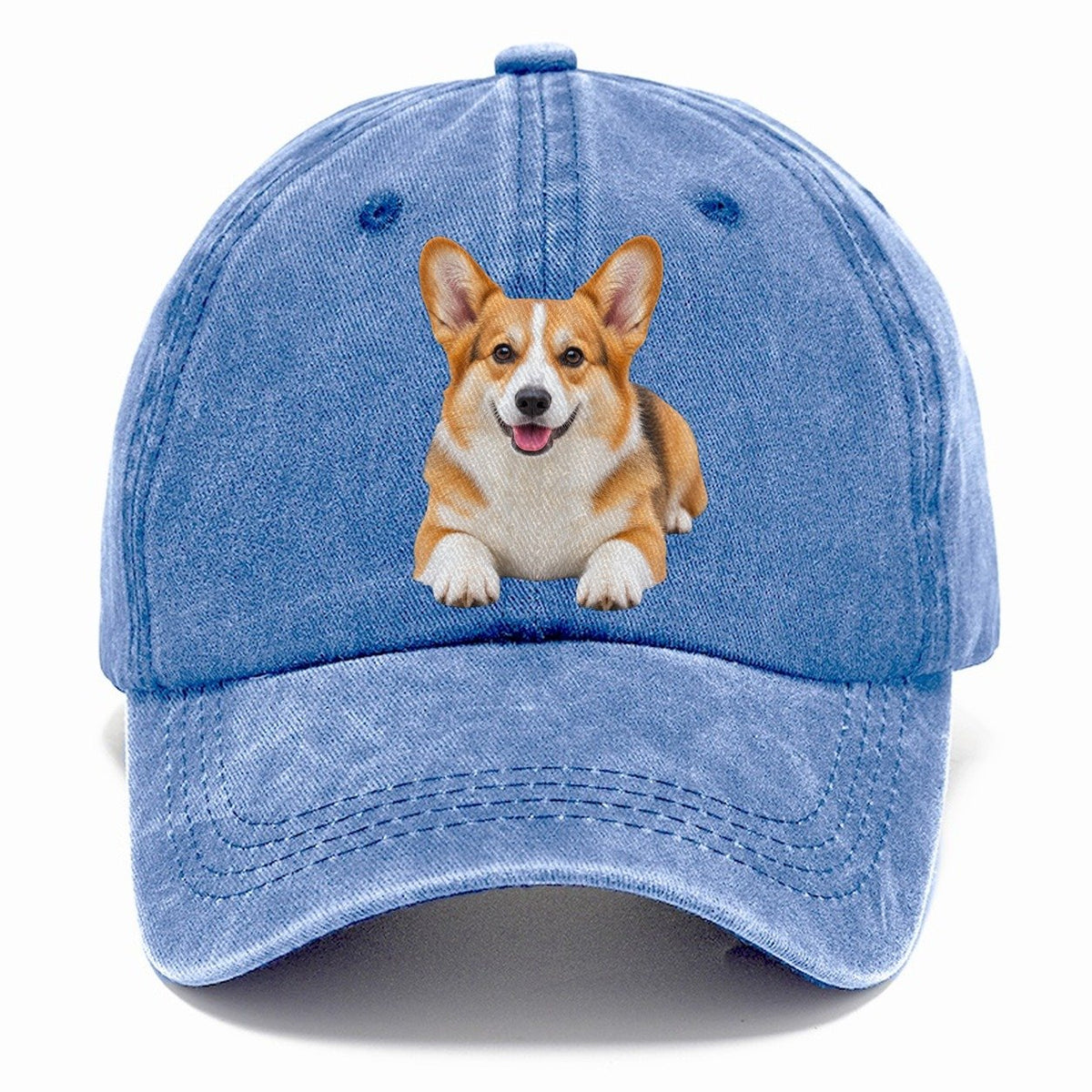 Pembroke Welsh Corgi Lying Down Top Breeds Classic Cap – Summer Sky