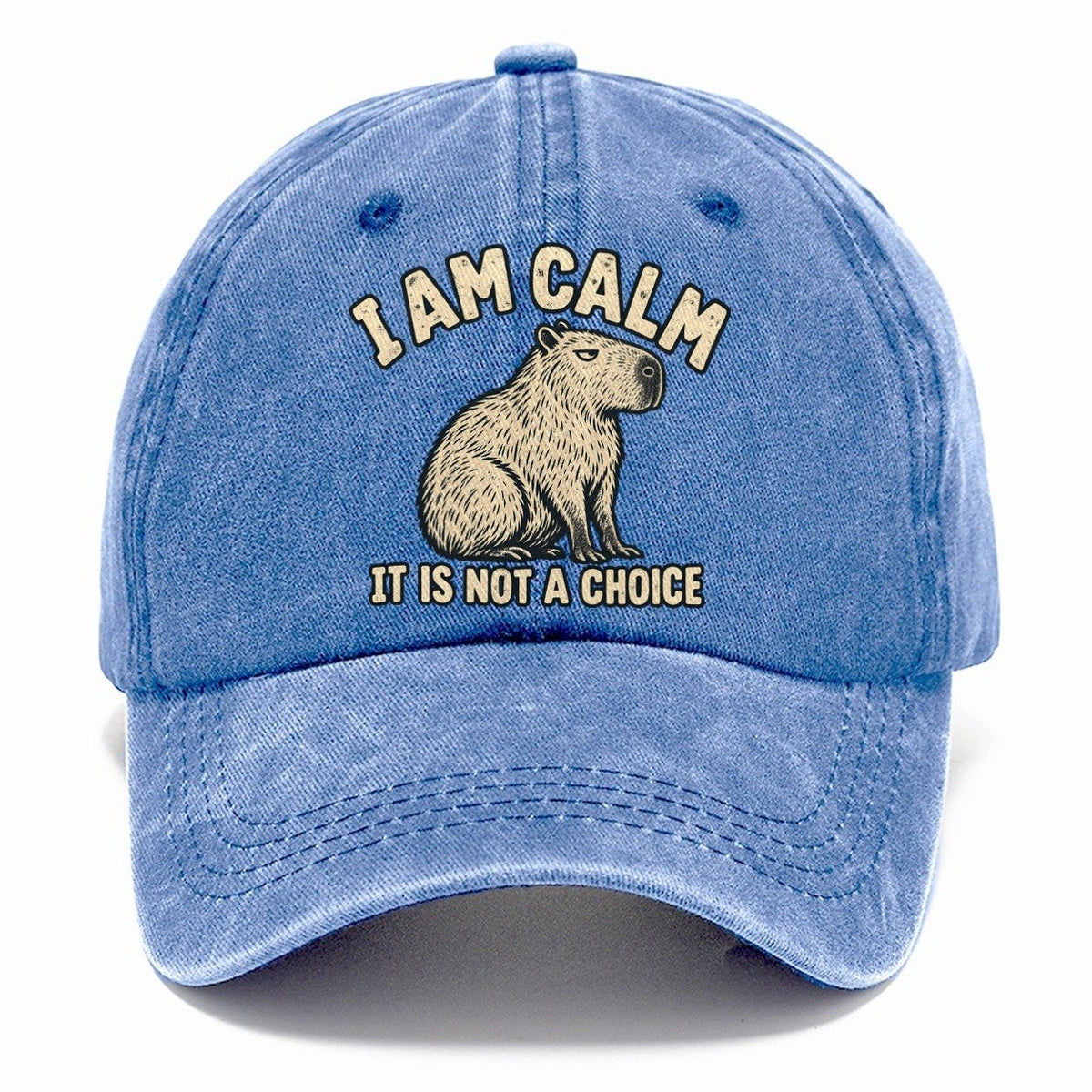 Capybara Not A Choice No Worm Club Classic Cap – Summer Sky
