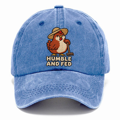 Hen Farmer Weary Court Classic Cap – Summer Sky
