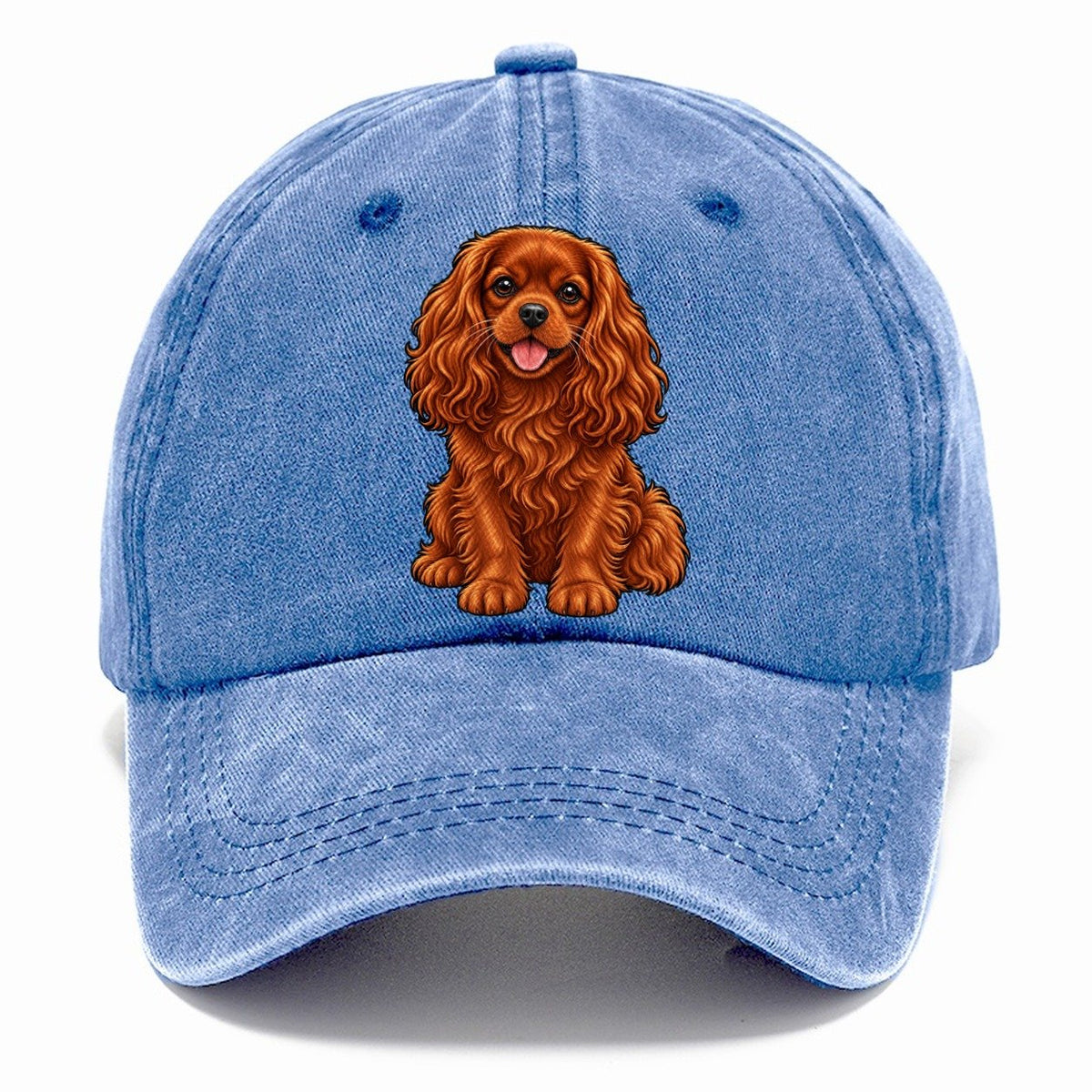 Ruby Cavalier King Charles Classic Cap – Summer Sky