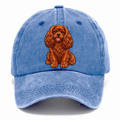 Ruby Cavalier King Charles Classic Cap – Summer Sky