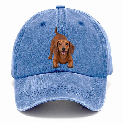 Dachshund Play Bow Top Breeds Classic Cap – Summer Sky