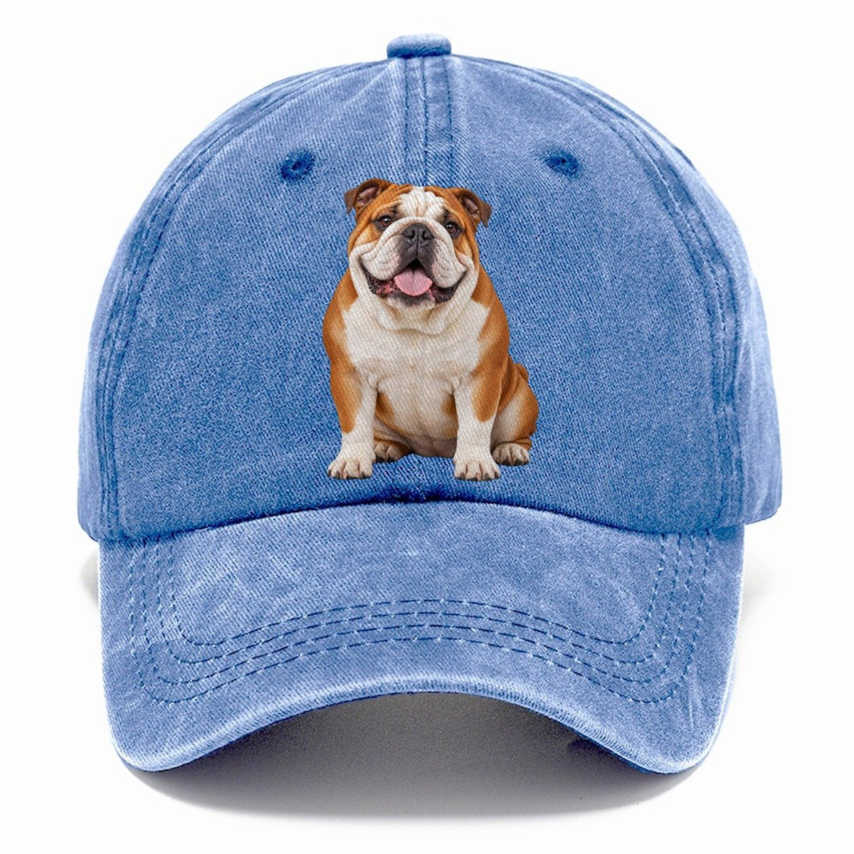 English Bulldog Sitting Top Breeds Classic Cap – Summer Sky
