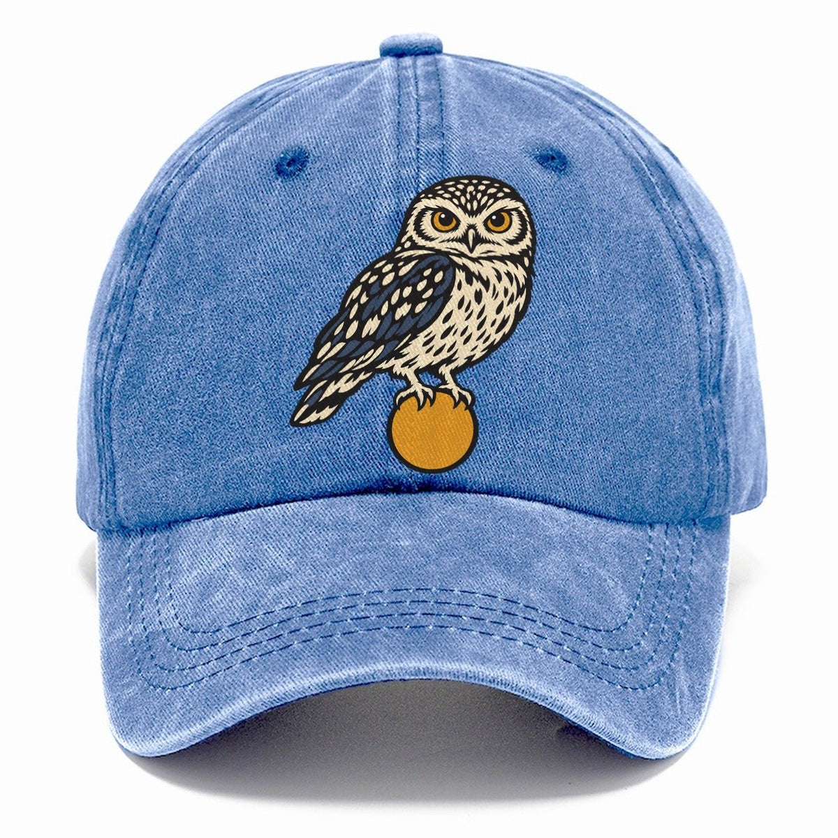 Burrowing Owl Sunrise Sundown Familiars Classic Cap – Summer Sky