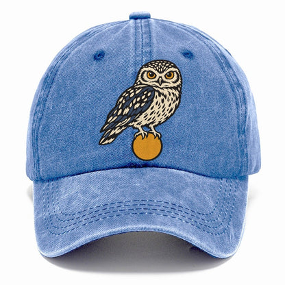 Burrowing Owl Sunrise Sundown Familiars Classic Cap – Summer Sky