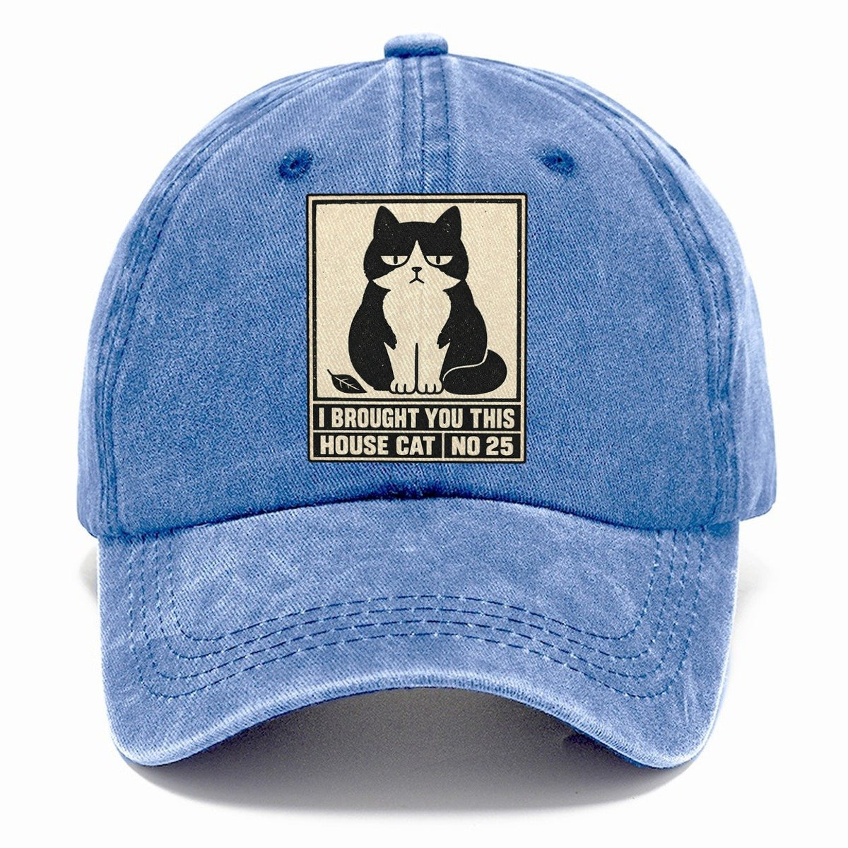 I Brought You This Neko Says No Classic Cap – Summer Sky