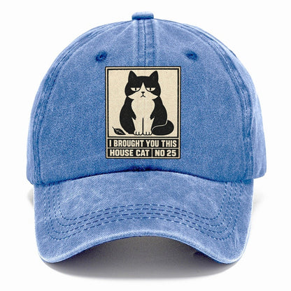 I Brought You This Neko Says No Classic Cap – Summer Sky