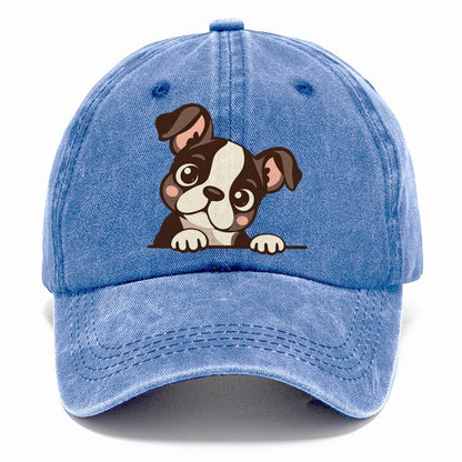 Peeking Boston Terrier Puppy Classic Cap – Summer Sky