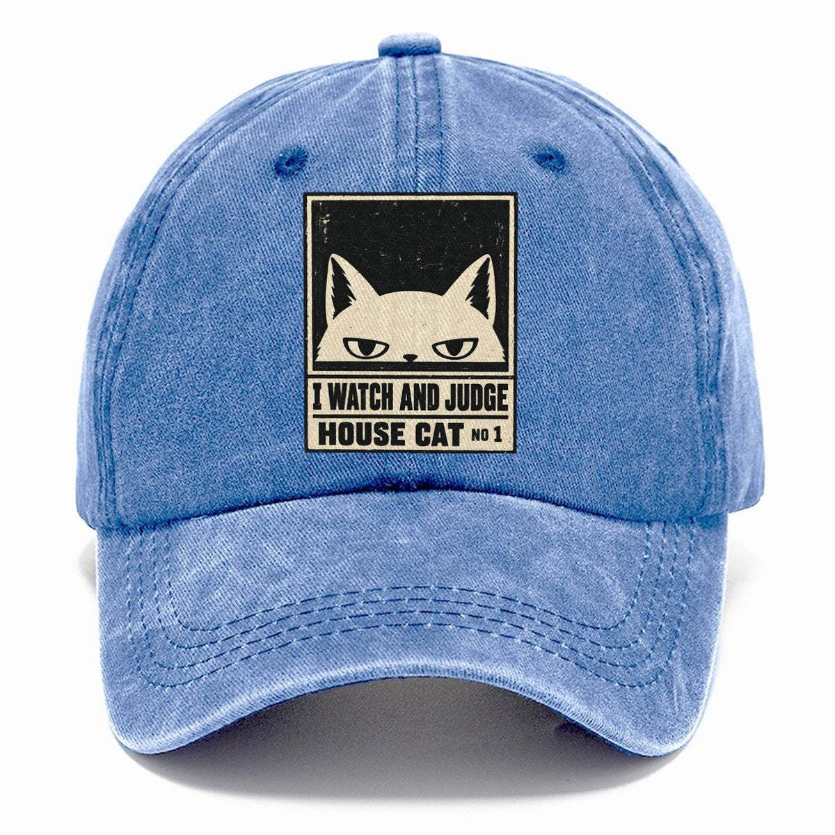 I Watch And Judge Neko Says No Classic Cap – Summer Sky