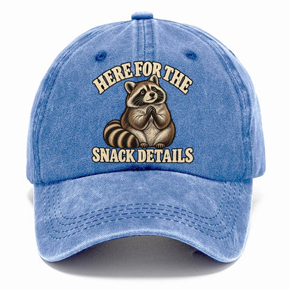 Raccoon Snack Details Character Club Classic Cap – Summer Sky