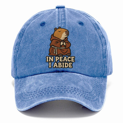 Capybara Monk Weary Court Classic Cap – Summer Sky