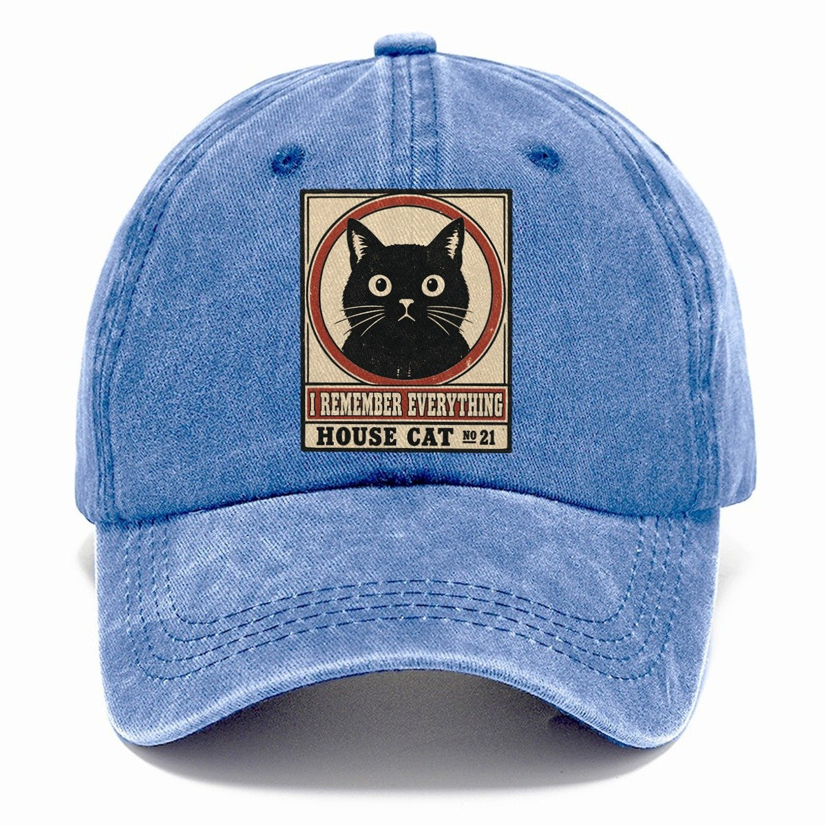 I Remember Everything Neko Says No Classic Cap – Summer Sky