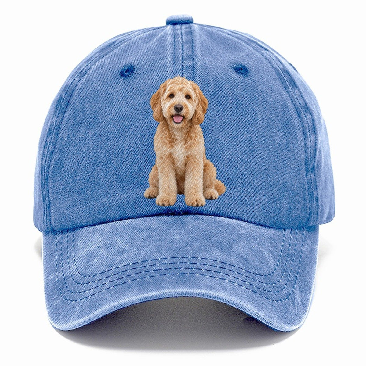 Goldendoodle Sitting Top Breeds Classic Cap – Summer Sky