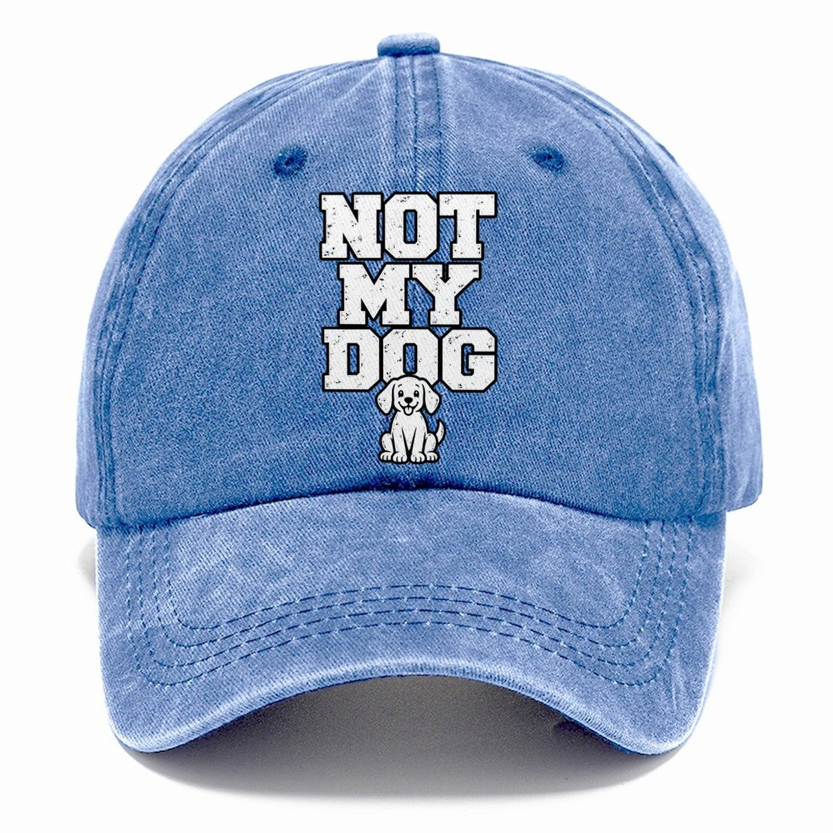 Not My Dog Classic Cap – Summer Sky