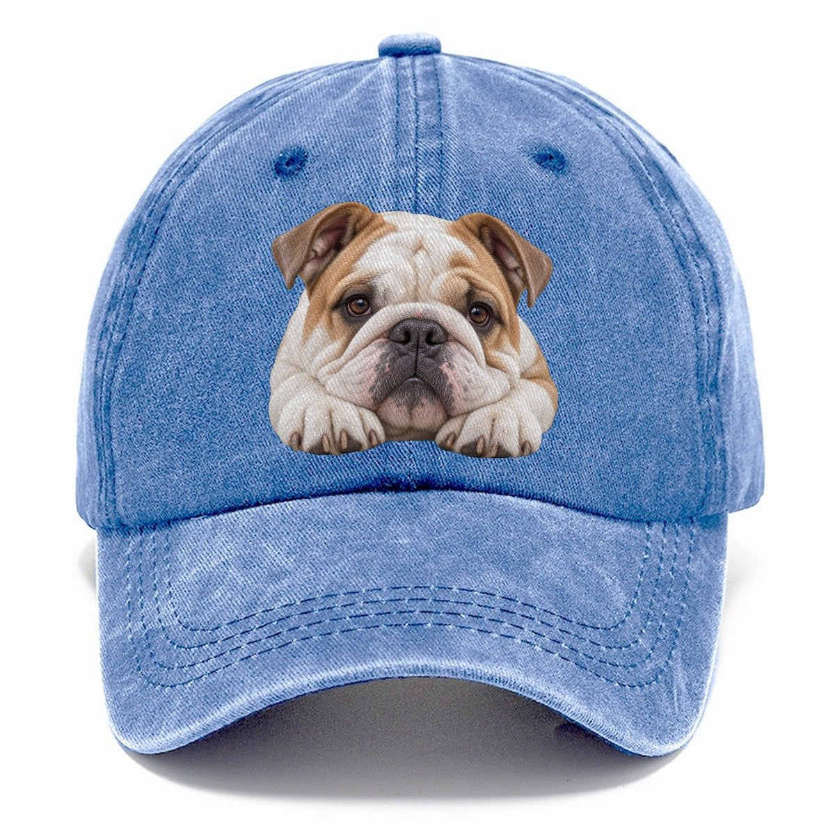 Bulldog Paw Pillow Character Club Classic Cap – Summer Sky
