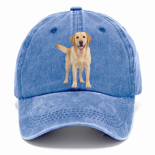 Labrador Retriever Standing Top Breeds Classic Cap – Summer Sky