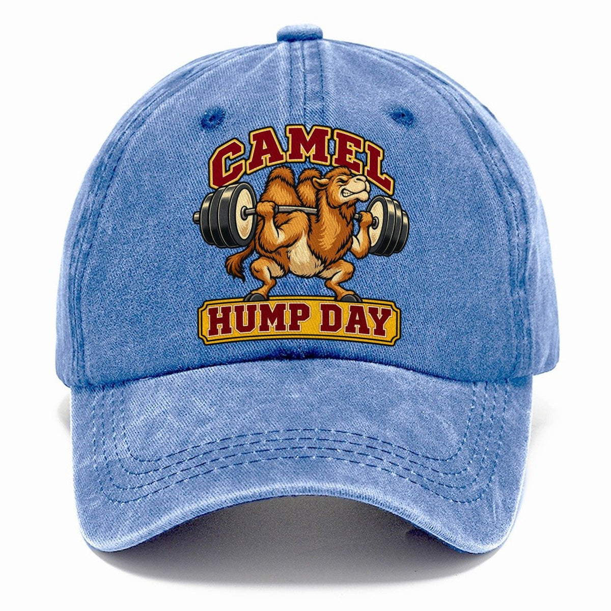 Camel Hump Day Animal Lifters Classic Cap – Summer Sky