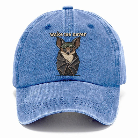 Wake Me Never Strongly Worded Classic Cap – Summer Sky