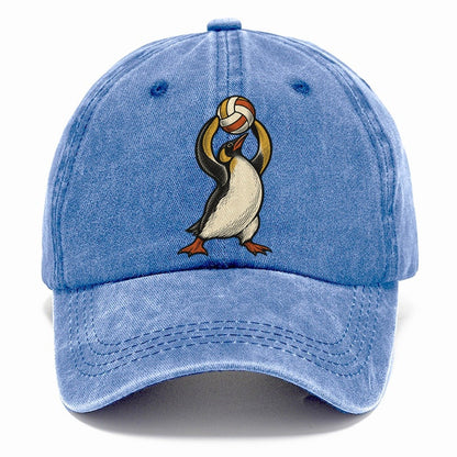 Penguin Volleyball Setter Sundown Familiars Classic Cap – Summer Sky