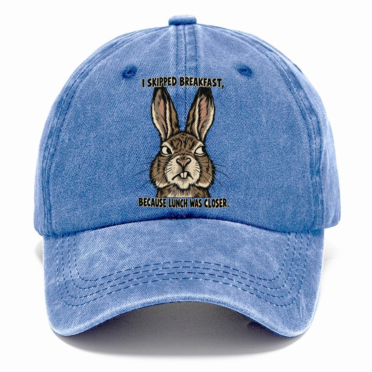 I Skipped Breakfast Feral Logic Classic Cap – Summer Sky