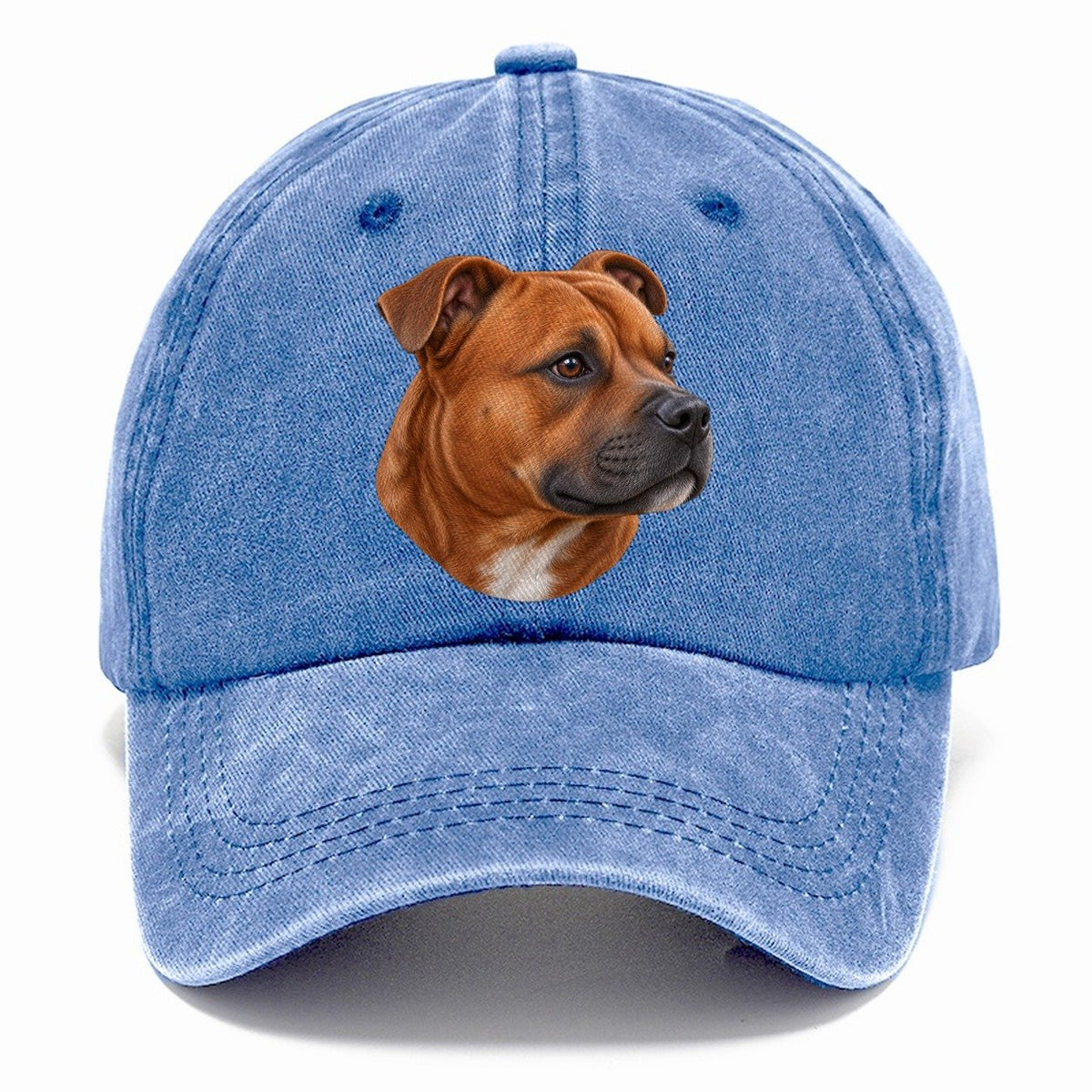 Staffy Red Velvet Profile Pastimes Companions Classic Cap – Summer Sky