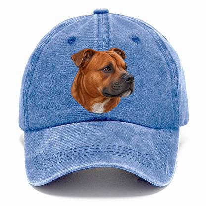 Staffy Red Velvet Profile Pastimes Companions Classic Cap – Summer Sky