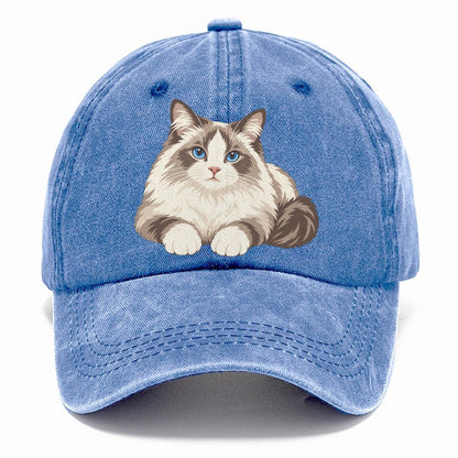 Ragdoll Reclining Paws Forward Realistic Cat Portrait Classic Cap – Summer Sky