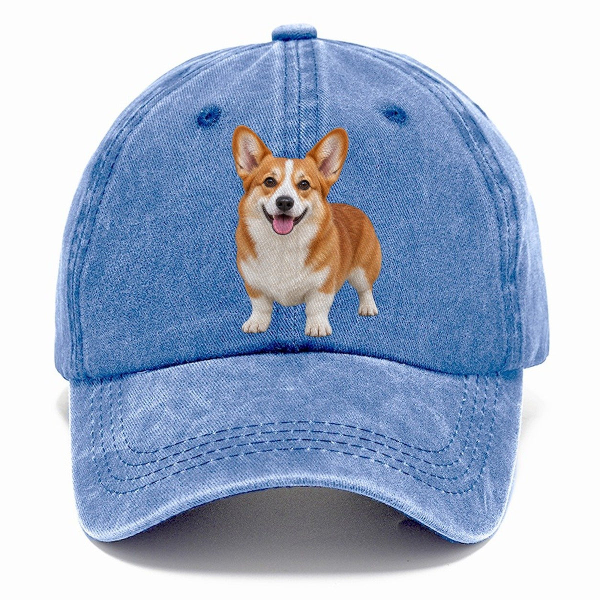 Pembroke Welsh Corgi Standing Front Facing Top Breeds Classic Cap – Summer Sky