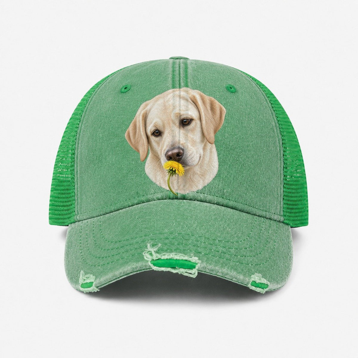 Ink Green — front view