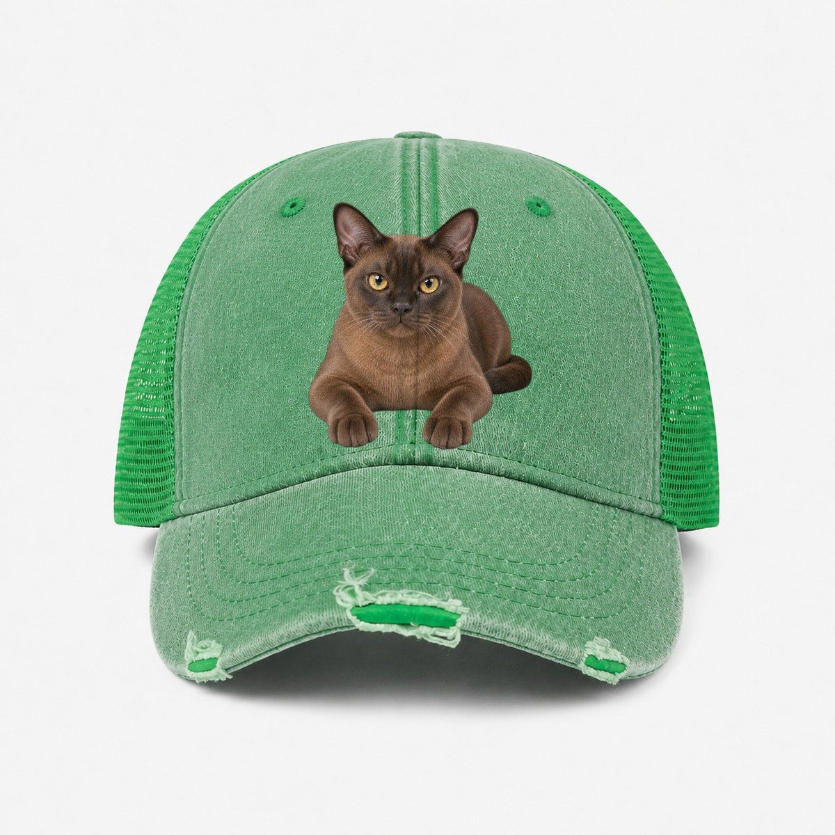 Ink Green — front view