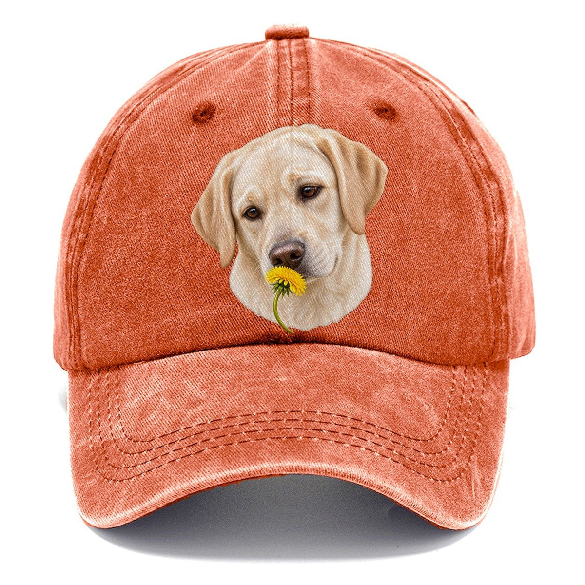 Cream Labrador Dandelion Pause Pastimes Companions Classic Cap – Terracotta Clay