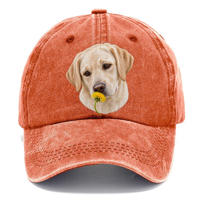 Cream Labrador Dandelion Pause Pastimes Companions Classic Cap – Terracotta Clay