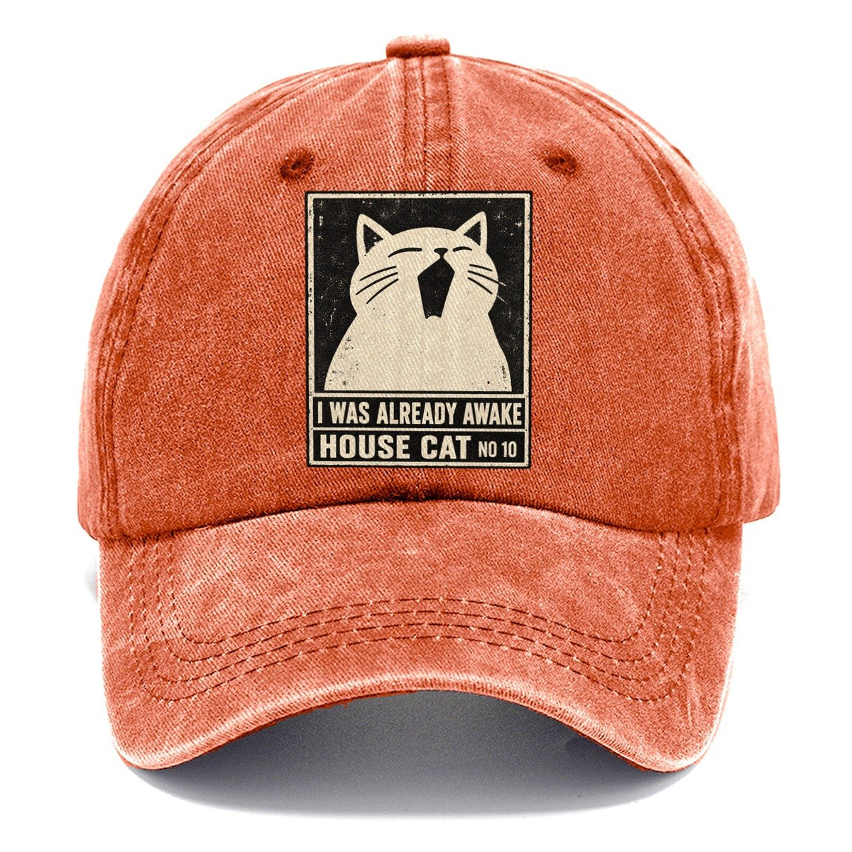 I Was Already Awake Neko Says No Classic Cap – Terracotta Clay