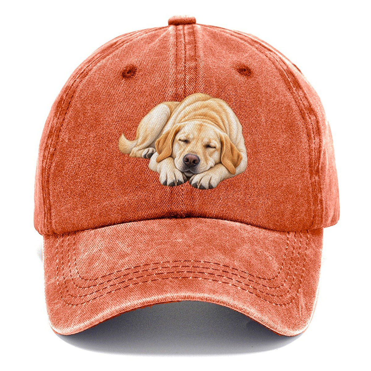 Abstract Labrador Play Bow Classic Cap – Terracotta Clay