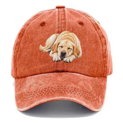 Abstract Labrador Play Bow Classic Cap – Terracotta Clay