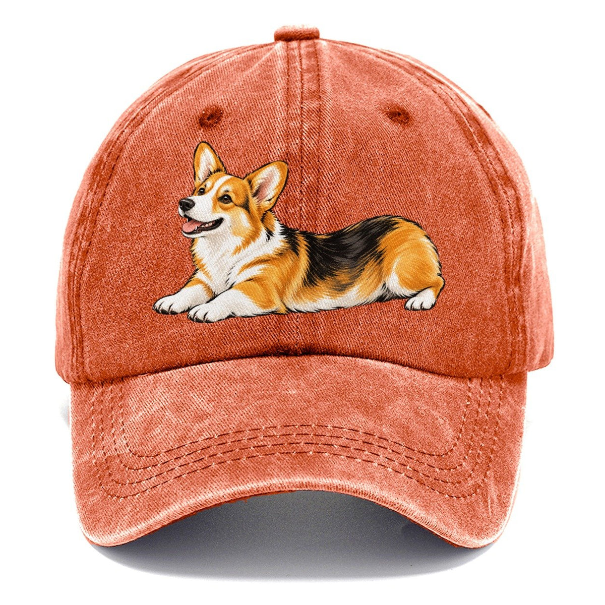 Lying Corgi Classic Cap – Terracotta Clay