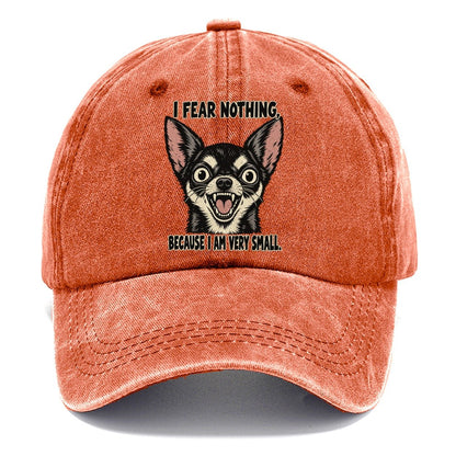 I Fear Nothing Feral Logic Classic Cap – Terracotta Clay