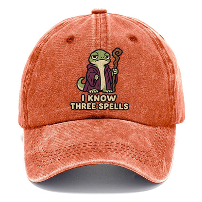Lizard Mage Weary Court Classic Cap – Terracotta Clay