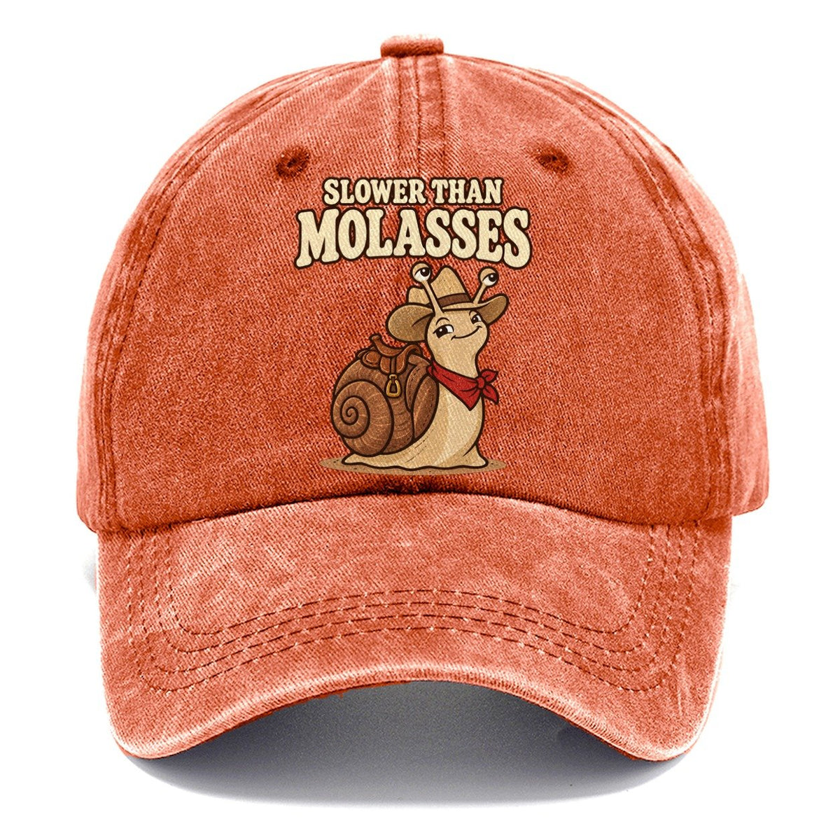 Slower Than Molasses Well I Declare Classic Cap – Terracotta Clay