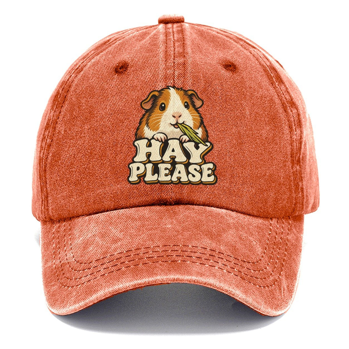 Hay Please Small Pet Logos Classic Cap – Terracotta Clay